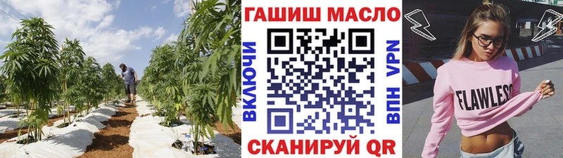 Дистиллят ТГК концентрат  mega как зайти  Домодедово 