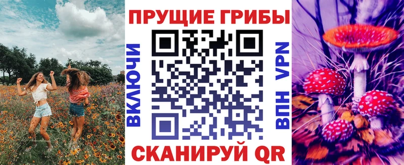 blacksprut зеркало  Домодедово  Галлюциногенные грибы Magic Shrooms 