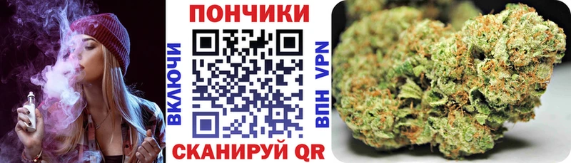 kraken как зайти  Домодедово  Канабис планчик 